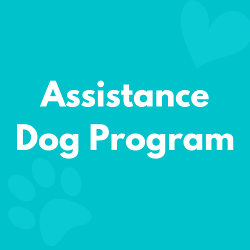 Assistance Dog Program