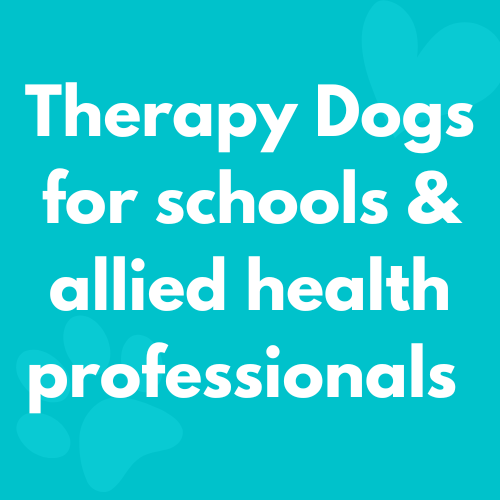 Therapy dogs for schools and allied health professionals