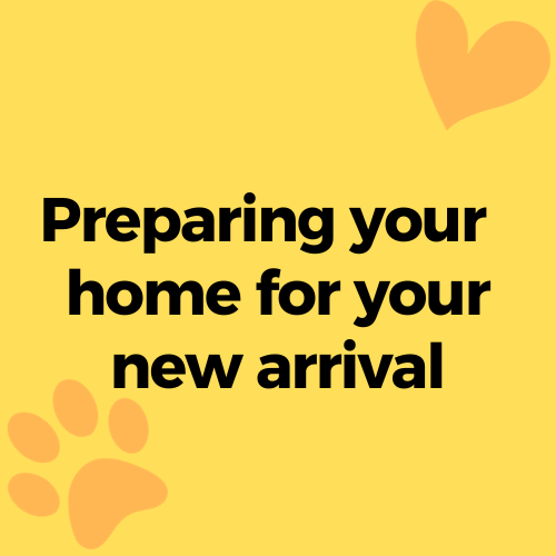 preparing your home for your new arrival 